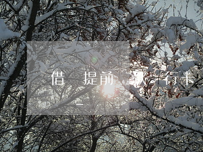 借唄提前還款銀行卡網(wǎng)銀額度嗎-