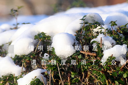 借唄提前還款額度取消了怎么辦-借唄提前還款額度取消了怎么辦理
