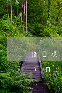 借唄提前還款額度會(huì)實(shí)時(shí)恢復(fù)嗎-借唄提前還款額度會(huì)實(shí)時(shí)恢復(fù)嗎安全嗎