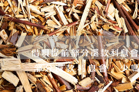 借唄提前部分還款利息會減少嗎-借唄提前部分還款利息會減少嗎