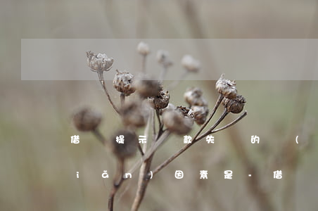 借唄提示還款失敗的風(fēng)險(xiǎn)因素是-借唄提示還款失敗的風(fēng)險(xiǎn)因素是什么意思