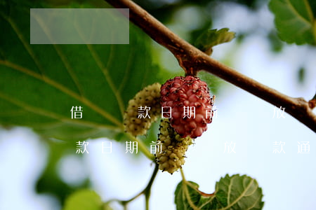 借唄換款日期前會開放還款通道嗎-借唄換款日期前會開放還款通道嗎安全嗎