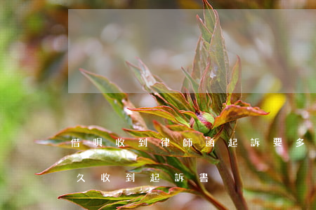 借唄收到律師函起訴要多久(借唄被起訴了多久收到起訴書)