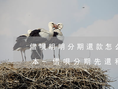 借唄明明分期還款怎么會(huì)先息后本-借唄分期先還利息再還本金