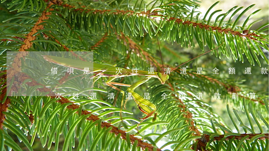 借唄是一次性還清還是全額還款-借唄是一次性還清還是全額還款劃算
