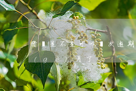 借唄是不是可以兩次逾期(借唄逾期超過三個(gè)月了)