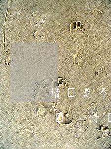 借唄是不是還款完了才可以關(guān)閉-借唄是不是還款完了才可以關(guān)閉了