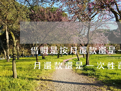 借唄是按月還款還是一次性還款-借唄是按月還款還是一次性還款好