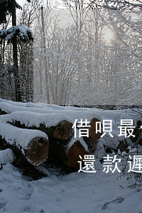 借唄最低還款遲還一天會怎么樣-借唄最低還款遲還一天會怎么樣嗎