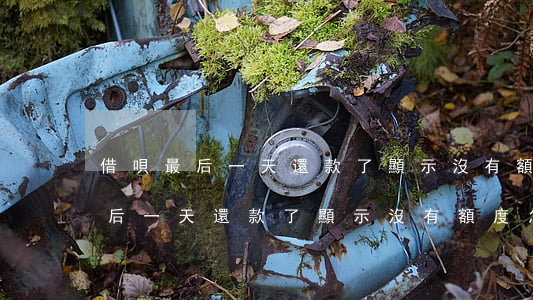 借唄最后一天還款了顯示沒有額度-借唄最后一天還款了顯示沒有額度怎么回事