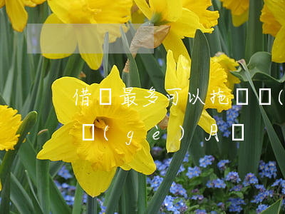 借唄最多可以拖幾個(gè)月(借唄能拖一個(gè)月嗎)