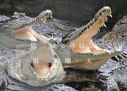 借唄最多可以逾期25天(借唄可以逾期多久?借唄逾期一天會(huì)怎么樣(2))