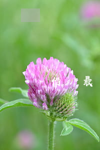 借唄最多可以逾期幾天(借唄逾期好幾天)