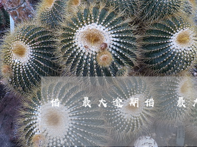 借唄最大逾期(借唄最大逾期多久)