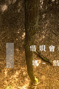 借唄會私下有人找你調(diào)解還款嗎-借唄會私下有人找你調(diào)解還款嗎是真的嗎