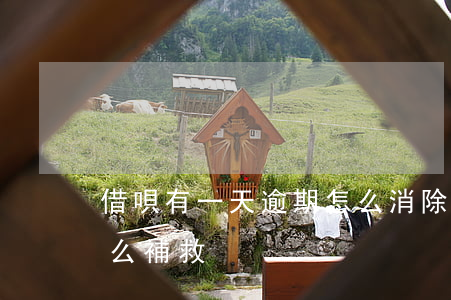 借唄有一天逾期怎么消除(借唄逾期過一次怎么補救)