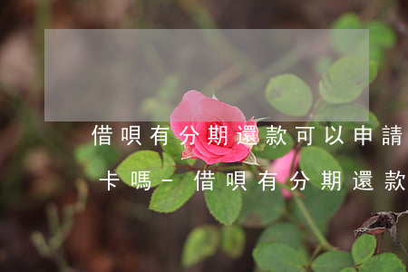 借唄有分期還款可以申請(qǐng)信用卡嗎-借唄有分期還款可以申請(qǐng)信用卡嗎安全嗎