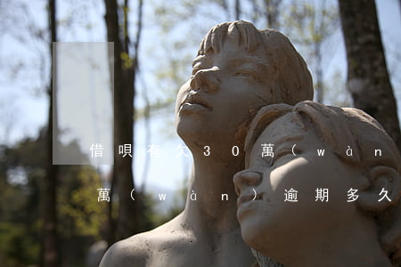 借唄有欠30萬(wàn)逾期的么(借唄三萬(wàn)逾期多久會(huì)被起訴)