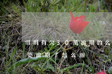 借唄有欠30萬逾期的么(借唄欠了20幾萬要逾期了怎么辦)
