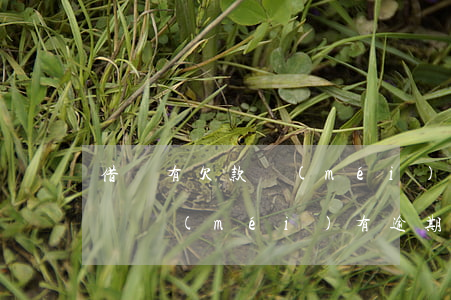 借唄有欠款沒(méi)逾期影響征信嗎(借唄沒(méi)有逾期怎么會(huì)上征信)