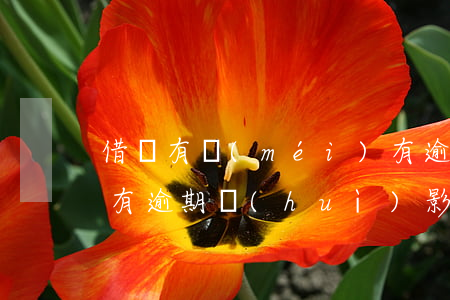 借唄有沒(méi)有逾期影響信用卡(借唄有逾期會(huì)影響貸款嗎)