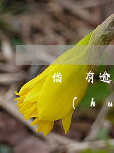 借唄有逾期上征信(借唄有逾期上征信了銀行會(huì)給貸款嗎)