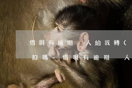 借唄有逾期別人給我轉(zhuǎn)賬會扣嗎-借唄有逾期別人給我轉(zhuǎn)賬會扣嗎安全嗎