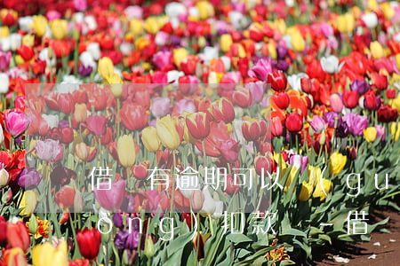 借唄有逾期可以關(guān)閉自動(dòng)扣款嗎-借唄有逾期可以關(guān)閉自動(dòng)扣款嗎安全嗎