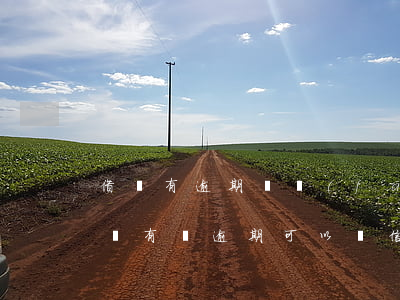 借唄有逾期廣發(fā)信用卡能激活嗎(借唄有過逾期可以辦信用卡嗎)