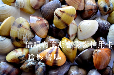 借唄有逾期會影響信用卡額度嗎(借唄逾期有啥影響嗎)