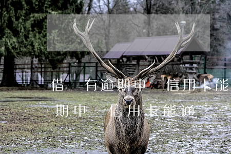 借唄有逾期申請信用卡能通過嗎-借唄有逾期申請信用卡能通過嗎安全嗎