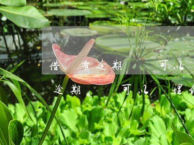 借唄有逾期記錄可以辦理信用卡嗎-借唄有逾期記錄可以辦理信用卡嗎安全嗎