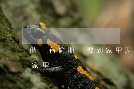 借唄有逾期說要到家里怎么辦(借唄逾期要去家里)