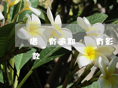 借唄有逾期買車有影響么(在借唄借錢影響貸款買車嗎?)
