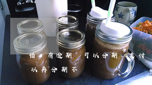 借唄有逾期還可以分期嗎(支付寶借唄逾期可以再分期不?)