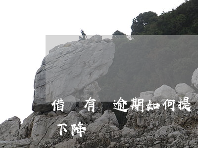 借唄有過逾期如何提額度(借唄逾期幾天額度下降嗎)