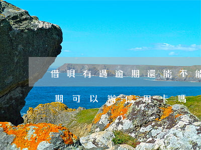 借唄有過逾期還能不能辦信用卡(借唄有過逾期可以辦信用卡嗎)