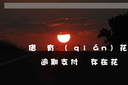 借唄有錢(qián)花網(wǎng)商貸逾期(支付寶存在花唄借唄網(wǎng)商貸等貸款逾期)