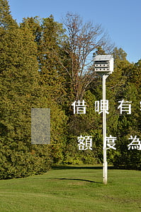 借唄有額度為什么借不了沒有逾期-借唄有額度為什么借不了沒有逾期記錄