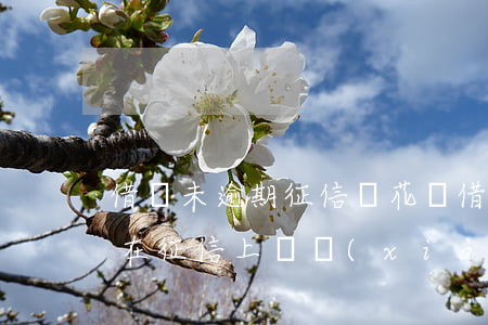 借唄未逾期征信嗎(花唄借唄沒有逾期征信會在征信上體現(xiàn)嗎)