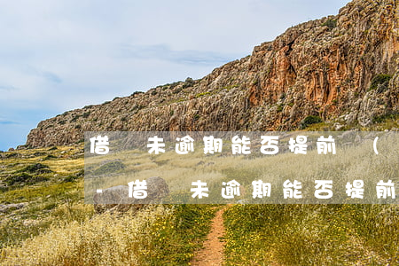 借唄未逾期能否提前協(xié)商再分期-借唄未逾期能否提前協(xié)商再分期還款