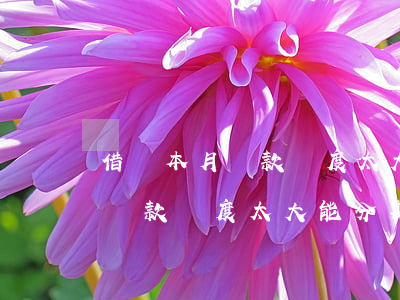借唄本月還款額度太大能分期嗎-借唄本月還款額度太大能分期嗎怎么還