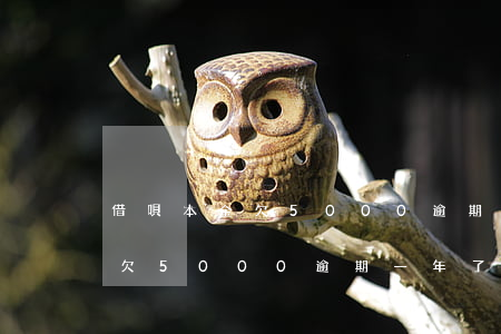 借唄本金欠5000逾期一年了-借唄本金欠5000逾期一年了會(huì)怎么樣