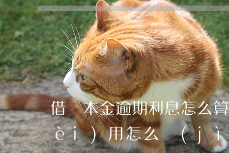 借唄本金逾期利息怎么算(借唄逾期后費(fèi)用怎么計(jì)算)