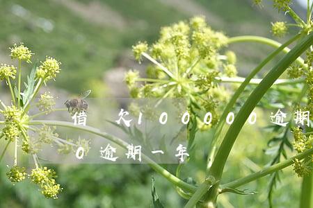 借唄欠100000逾期2年(借唄欠4000逾期一年)