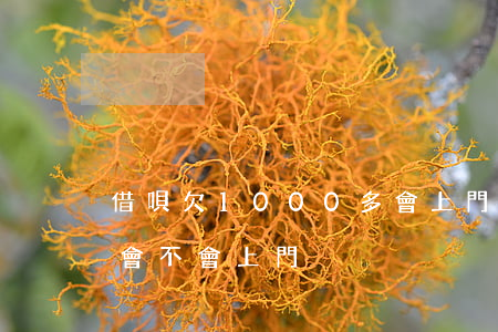 借唄欠1000多會上門嗎(借唄兩千多逾期會不會上門)
