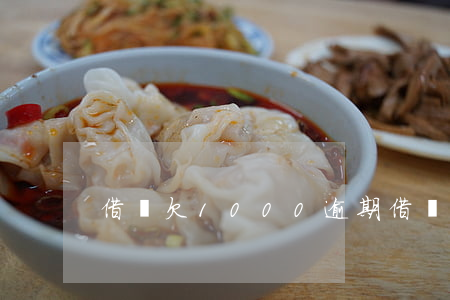 借唄欠1000逾期(借唄逾期20000)