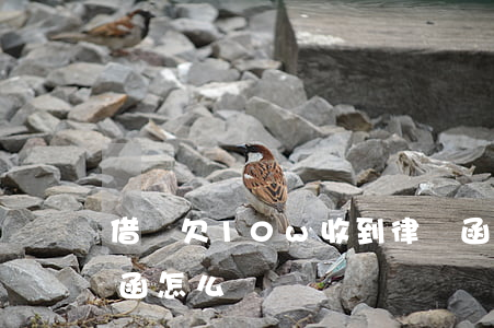借唄欠10w收到律師函(借唄欠款收到律師函怎么辦)