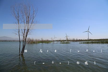 借唄欠10萬(wàn)怎么辦(借唄欠10萬(wàn)你慌了嗎)