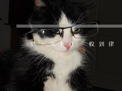 借唄欠10萬收到律師函怎么辦-